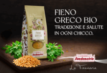 Fieno Greco biologico Sandemetrio, nuova frontiera del benessere digestivo