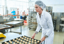 Trattamento ecologico ad alte temperature: la nuova frontiera Rentokil contro gli infestanti