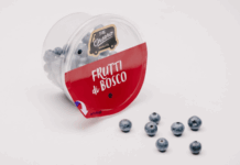 Nuovo pack apri e chiudi F.lli Orsero per mirtilli “on the go”