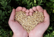 Giornata Mondiale della Sicurezza Alimentare: priorità assoluta per Italmopa