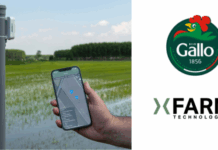 Riso Gallo e xFarm Technologies: risultati positivi per la piattaforma Gallo4Farmers
