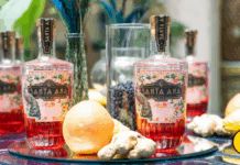 Rinaldi 1957 presenta il gin Santa Ana Pomelo con vista low-drink