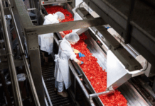 Italian Food. Petti avvia un’importante campagna di raccolta e trasformazione del pomodoro