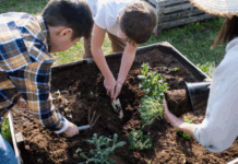 Agricoltura circolare: in Italia il 74% delle imprese adotta pratiche sostenibili