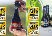 Sette medaglie per Birrificio del Ducato ai World Beer Awards