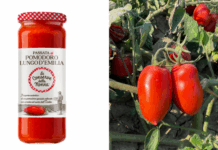 Le Conserve della Nonna rilancia il territorio con il Pomodoro Lungo d’Emilia