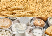 Mercati agroalimentari europei: pressioni ribassiste su latte e cereali, energia in equilibrio