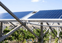 Puglia, laboratorio di agricoltura e innovazione