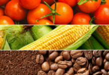 Le pillole di Areté sui mercati: Pomodoro, Mais e Caffè