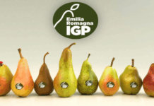 Pera dell’Emilia-Romagna IGP: al via la nuova campagna che esalta l’eccellenza
