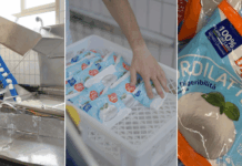 Latticini laziali a km zero: lo stabilimento di Rieti che trasforma 10 milioni di litri l’anno