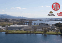 Salov (Filippo Berio e Sagra) presenta il Report di Sostenibilità 2024