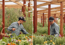 Contest Bubble Bev.: Omar Bonetti vince con Bon&Tea