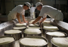 Latterie Vicentine: Asiago DOP certificato Made Green in Italy in Classe A