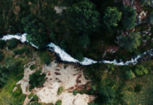 In Valtellina Sanpellegrino recupera 51 ettari di foresta