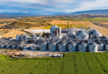 Cereal Docks accelera sul mais alimentare: acquisito il 70% di Quality Corn Group