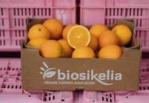 Elorina: arance bio selezionate di BioSikelia