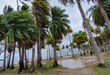 Assobibe sul ciclone Harry: “necessari interventi immediati, turismo a rischio”