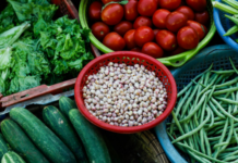 Diete a base vegetale: lo studio che mette a confronto nutrizione e impatto ambientale