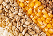 Il 19% della spesa alimentare italiana passa dai cereali: i numeri di una filiera da 37 miliardi