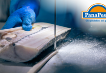 Cucine più efficienti e menu dinamici: il ruolo strategico del surgelato ittico Panapesca