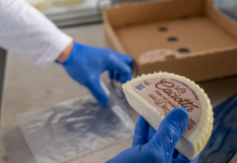 Caseificio della Dozza: con Granarolo i detenuti imparano a produrre caciotte