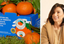Consorzio di Tutela IGP Clementine del Golfo di Taranto: Barreca riconfermata alla presidenza