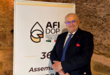Formaggi DOP e IGP: export a 3,3 miliardi, ma le tariffe USA minacciano il mercato