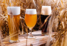 Birra artigianale in Italia: dieci anni dopo la legge che ha cambiato il settore