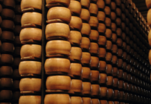 Parmigiano Reggiano di montagna, produzione in crescita nel 2025
