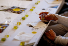FestivOl 2026 a Trevi: due giorni tra olio nuovo e sapori umbri