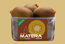 Nicofruit valorizza il kiwi giallo Top Gold con Kiwy Matera