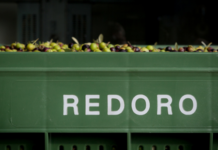 Olio italiano, Redoro chiede di valorizzare cultivar e territori