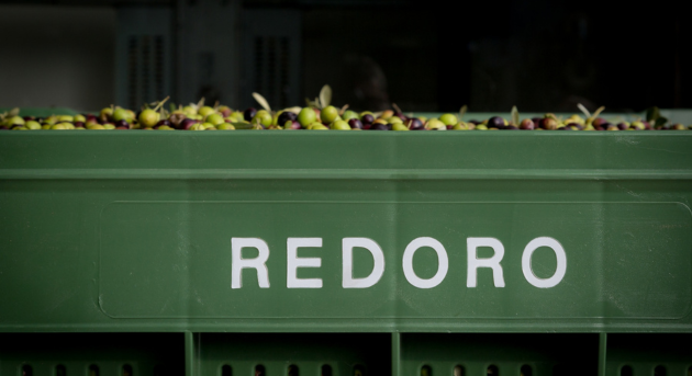 olio_extravergine_italiano_redoro_concorrenza_spagna